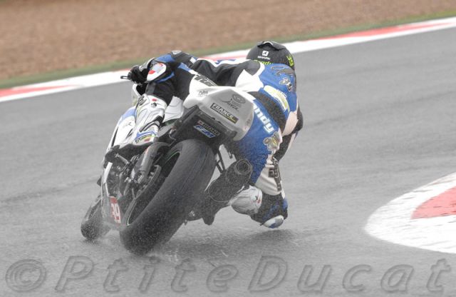 Pagaud_9985.jpg