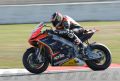 Biaggi_6176.jpg