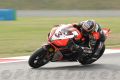Biaggi_8515.jpg