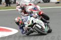 Camier_1351.jpg