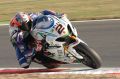 Camier_6782.jpg