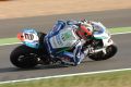 Camier_7184.jpg