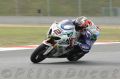 Camier_8433.jpg