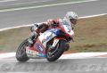 Checa_0408.jpg
