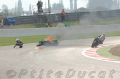 DSC_0467_Aitchison.JPG