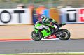 TOF_5611_Salom.jpg