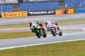 TOF_9034_Sykes_Haslam.jpg