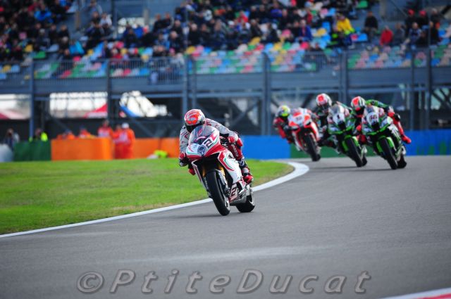 Camier_9121.jpg