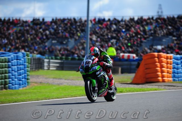 Sykes_0612.jpg