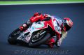 Camier_7480.jpg