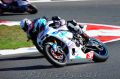 Pagaud_1202.jpg