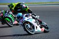 Pagaud_9895.jpg