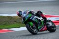 Rea_6257.jpg