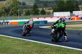 Tamburini_1304.jpg