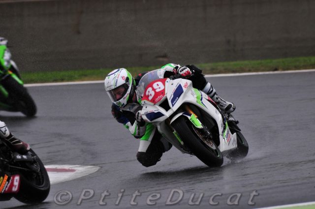 Pagaud_7278.jpg