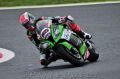 Rea_7561.jpg