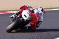 Terrol_4129.jpg