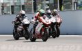Bayliss_2237.JPG
