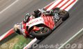 Colucci_0215.JPG