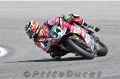TOF_6108_Davies.jpg