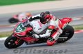 TOF_6218_Guintoli.jpg