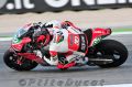TOF_6220_Guintoli.jpg