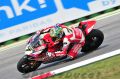 TOF_6285_Davies.jpg