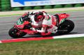 TOF_6303_Guintoli.jpg