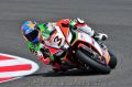 Biaggi_7294.jpg