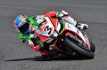 Biaggi_7323.jpg