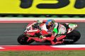 Biaggi_7373.jpg
