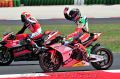 Biaggi_8857.jpg