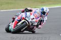 Guintoli_6985.jpg