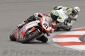 Bayliss_5782.JPG