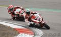 Bayliss_7296.JPG