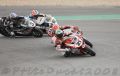 Bayliss_7841.JPG