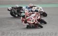 Bayliss_7842.JPG