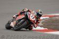 Corser_5852.JPG