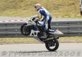 Simeon_6911.JPG