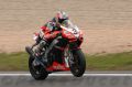 Biaggi_8026.JPG