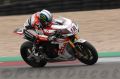 Haslam_1459.JPG