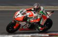 Biaggi_6426.jpg