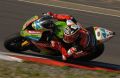 Salom_8294.jpg