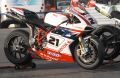 Bayliss_0508.JPG