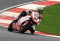 Bayliss_5073.JPG