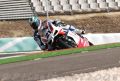 Bayliss_6768.JPG