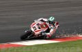 Bayliss_7047.JPG
