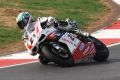 Bayliss_8742.JPG
