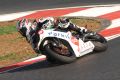 McCoy_6343.JPG