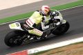Rea_7881.JPG